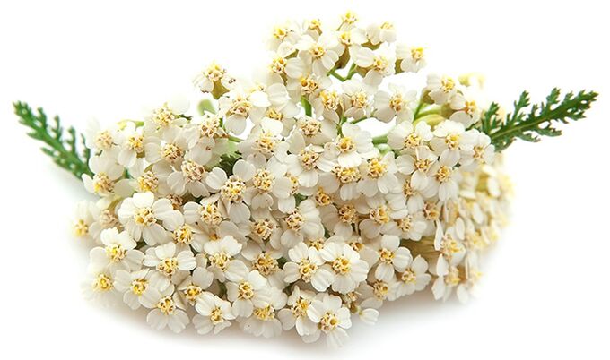 Gelarex obsahuje tisíc listů